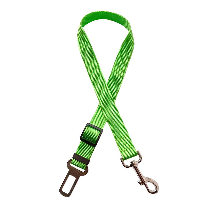 Ceinture de sécurité pour animaux