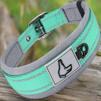 collier rembourré vert