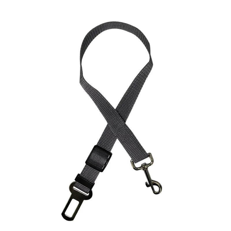 Ceinture de sécurité pour animaux