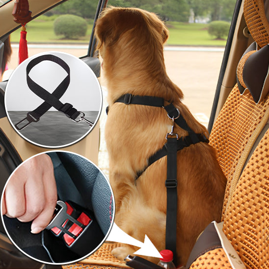 Ceinture de sécurité pour animaux