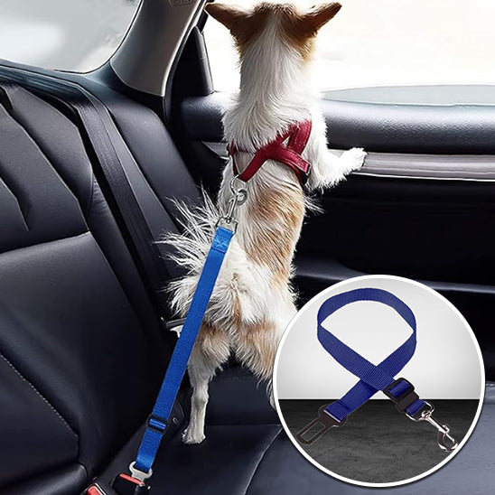Ceinture de sécurité pour animaux