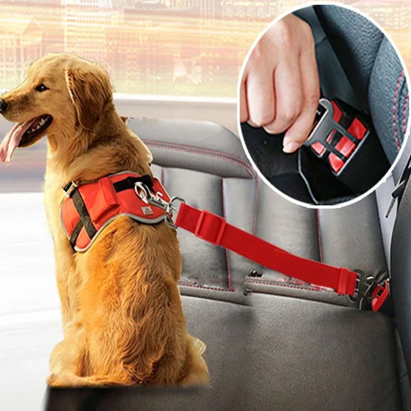 Ceinture de sécurité pour animaux
