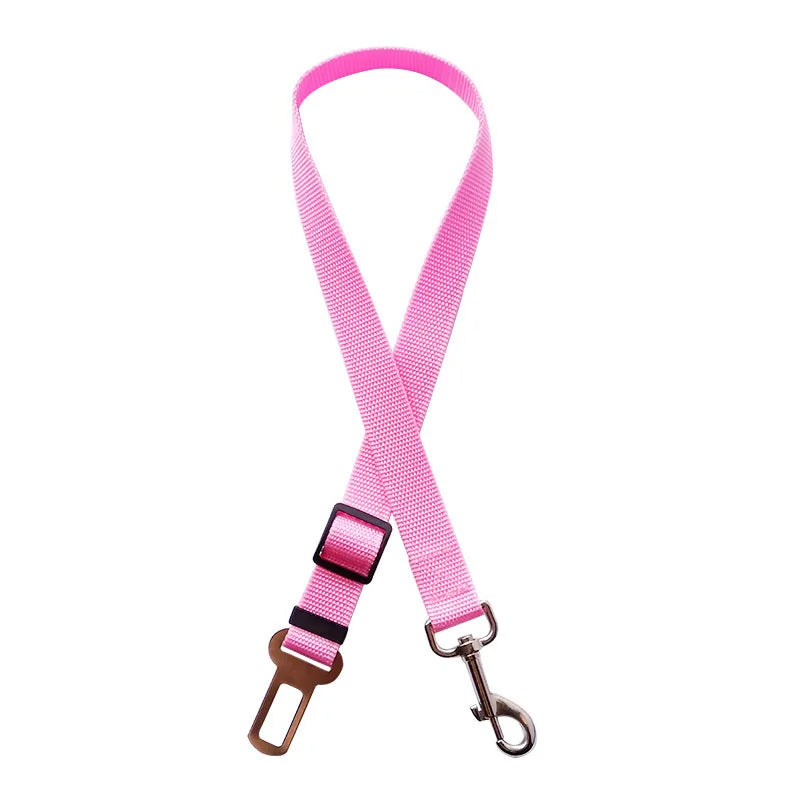 Ceinture de sécurité pour animaux