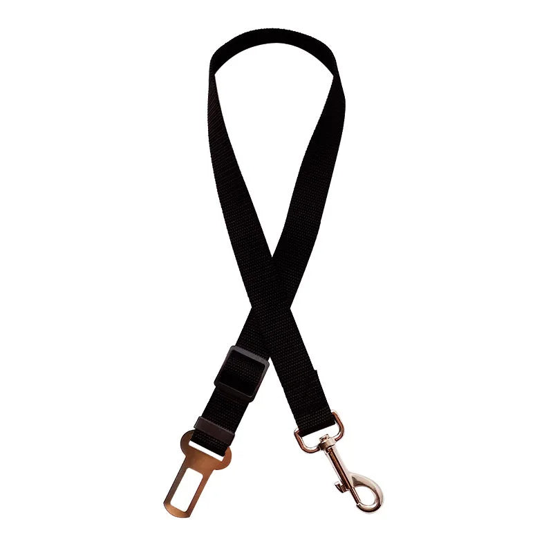 Ceinture de sécurité pour animaux