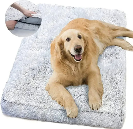 Panier pour Chien en Mousse Orthopédique De Luxe