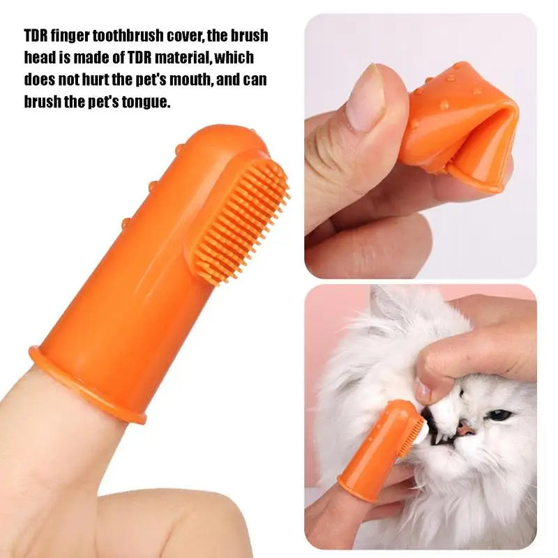 Dentifrice et brosse à dents pour chien chat