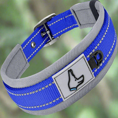 collier rembourre bleu-profond