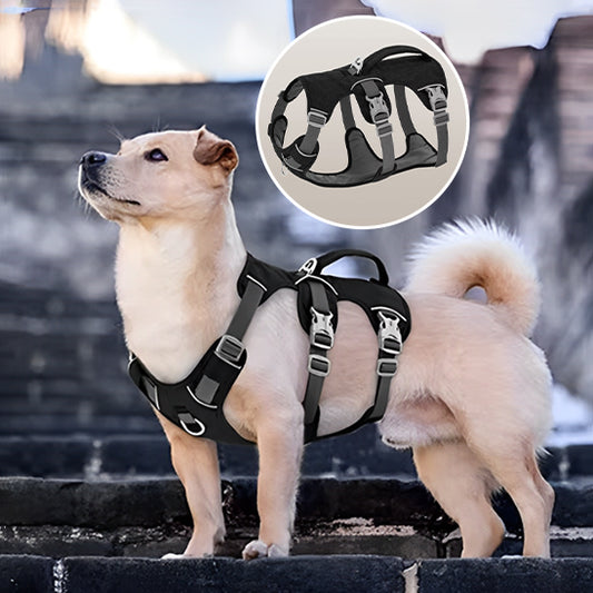 harnais chien cosy