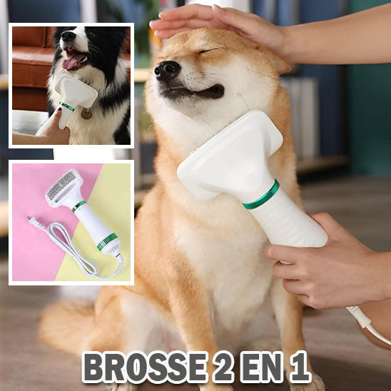 Séchoir de toilettage pour chien