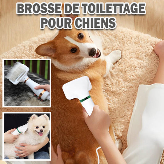 Séchoir de toilettage pour chien