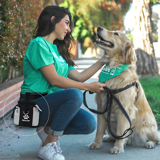 Traiter chien  pochette sac mains libre