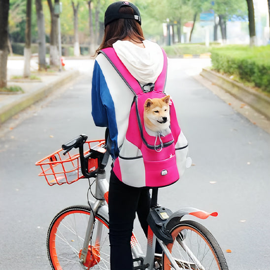 Sac à dos de transport pour chien :